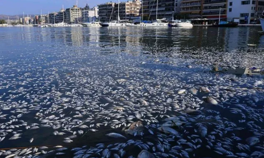 Επιτρέπεται ξανά το κολύμπι σε παραλίες του Βόλου -Καθαρά νερά έδειξαν οι αναλύσεις